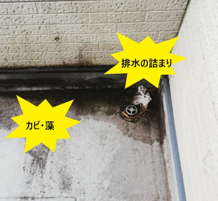 ベランダの排水詰まり　カビ・藻　雨漏り